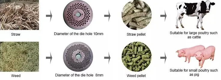 info-736-267 info-736-267